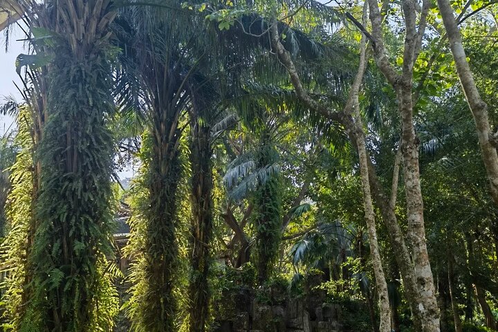 Half Day Private Tour to Yanoda Tropical Rain Forest Park