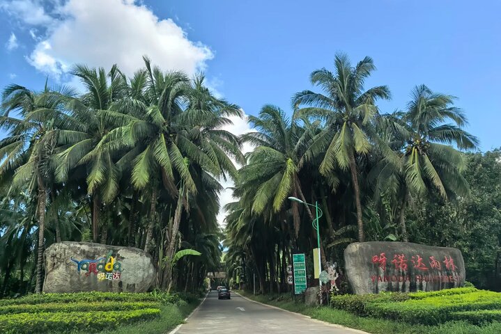 Half Day Private Tour to Yanoda Tropical Rain Forest Park
