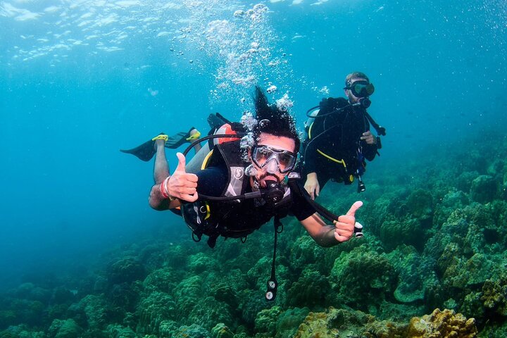 Koh Chang 2 Dive Shipwreck and Coral Reef Scuba Experience