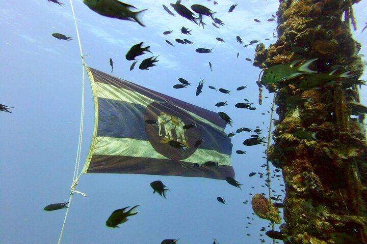 Koh Chang 2 Dive Shipwreck and Coral Reef Scuba Experience