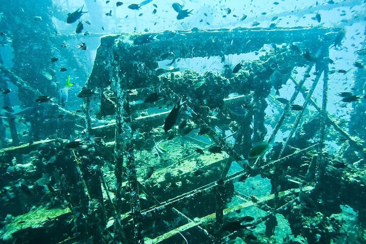 Koh Chang 2 Dive Shipwreck and Coral Reef Scuba Experience