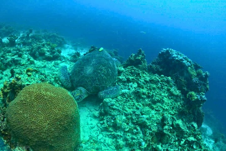Coron Ultimate Tour: 7 Destinations with Lunch and Transfer