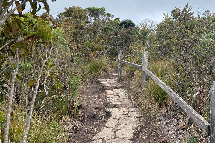 Cheapest ZIPAQUIRA & GUATAVITA LAKE Visit 5 Top Sights w/PICKUP