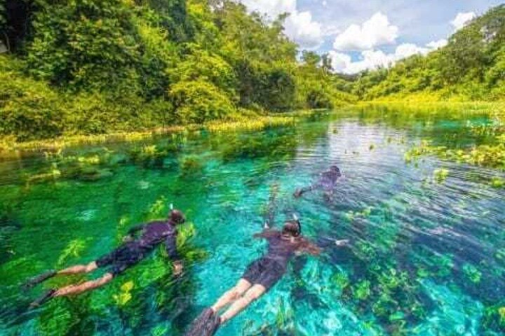 Beautiful : Snorkeling at the Blue River Fervedouro