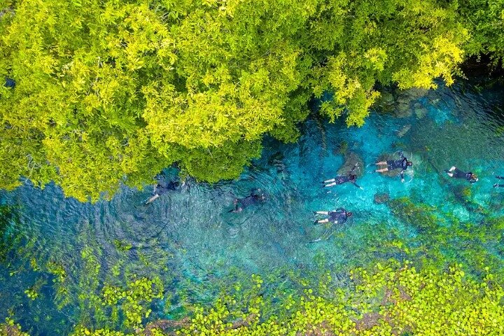 Beautiful : Snorkeling at the Blue River Fervedouro