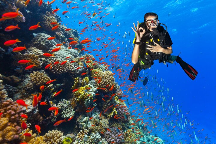 Sharm El Sheikh: White Island & Ras Mohammed Cruise with Lunch
