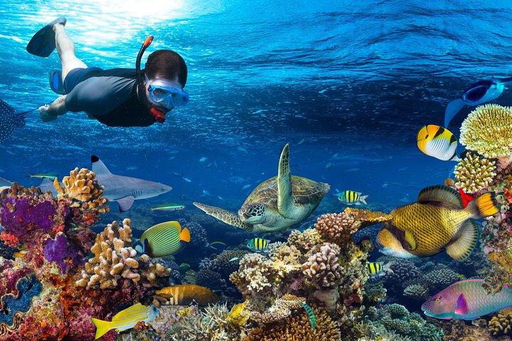 Sharm El Sheikh: White Island & Ras Mohammed Cruise with Lunch