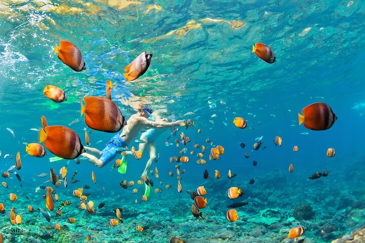 Sharm El Sheikh: White Island & Ras Mohammed Cruise with Lunch