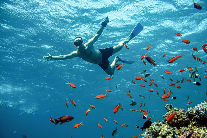 Sharm El Sheikh: White Island & Ras Mohammed Cruise with Lunch