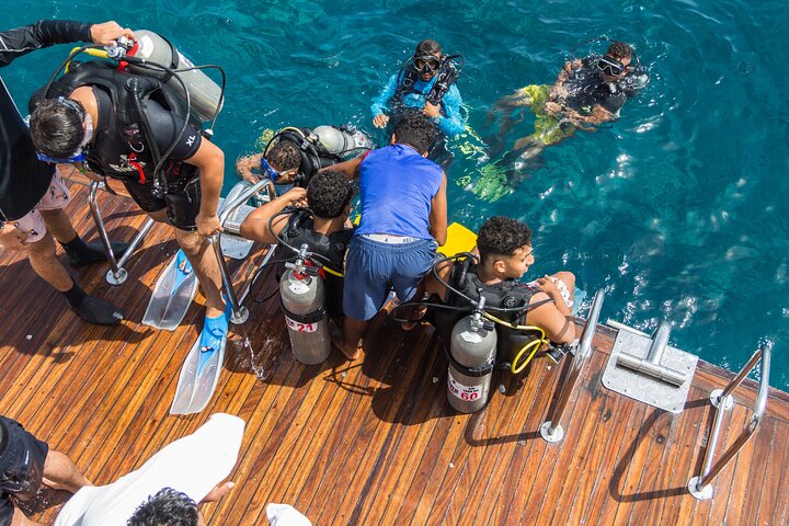 Sharm El Sheikh: White Island & Ras Mohammed Cruise with Lunch