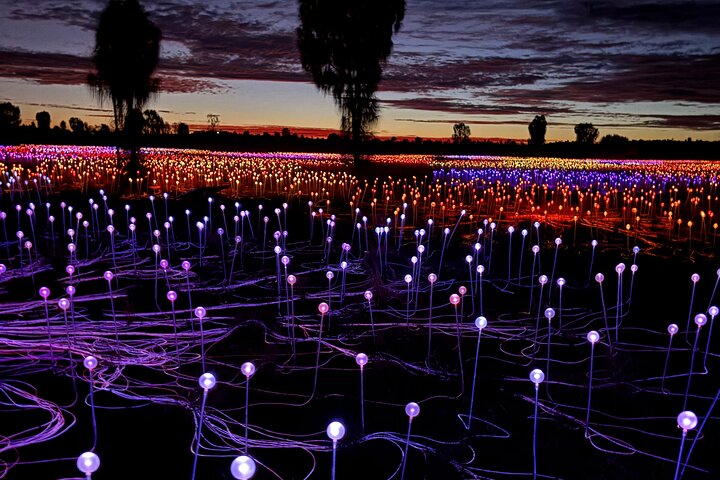 Uluru (Ayers Rock) Field of Light Sunrise Tour