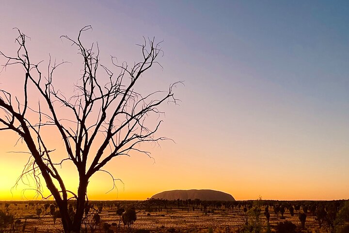 Uluru (Ayers Rock) Field of Light Sunrise Tour