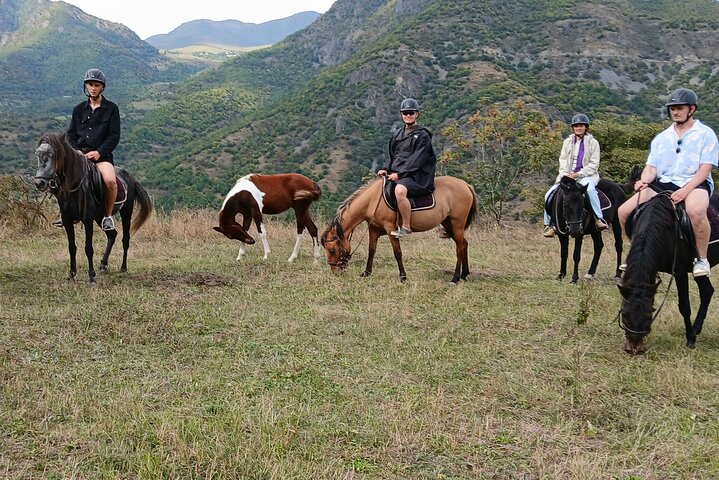 Scenic Trail Rides