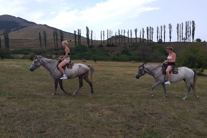 Scenic Trail Rides