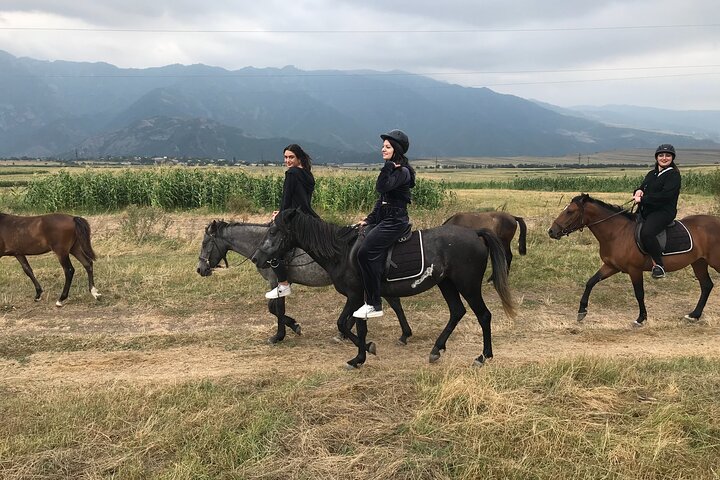 Scenic Trail Rides