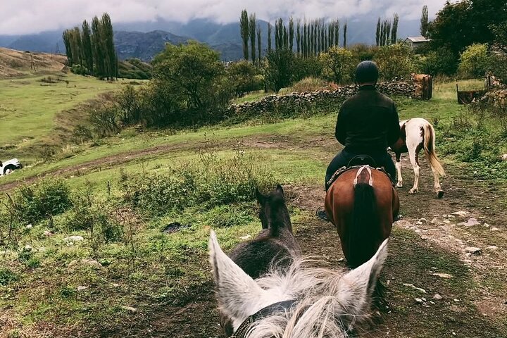 Scenic Trail Rides