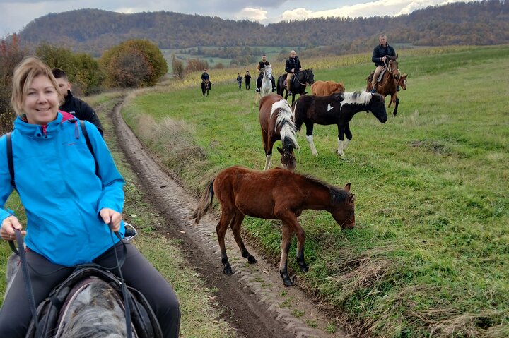 Scenic Trail Rides