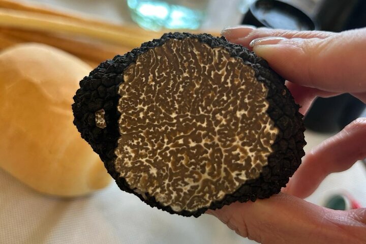 Truffle Hunting and Lunch in Piedmont Trattoria