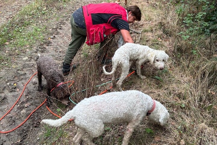 Truffle Hunting and Lunch in Piedmont Trattoria