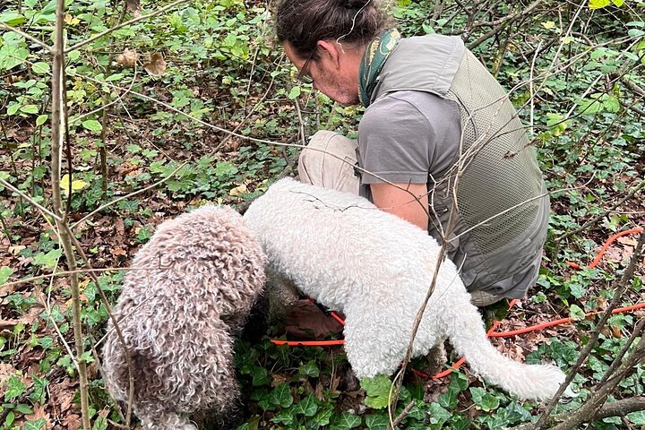 Truffle Hunting and Lunch in Piedmont Trattoria