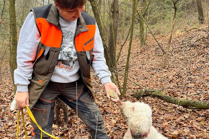Truffle Hunting and Lunch in Piedmont Trattoria