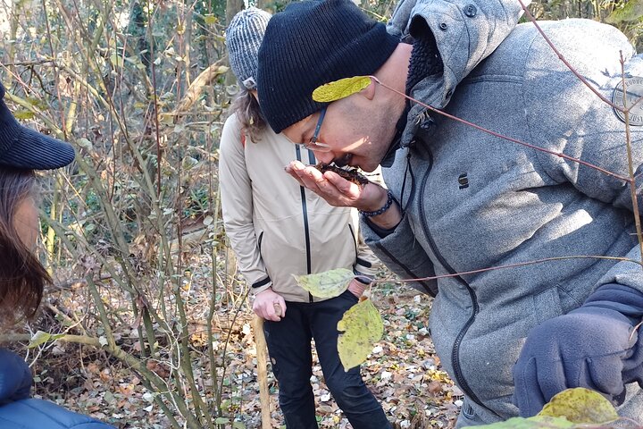 Truffle Hunting and Lunch in Piedmont Trattoria
