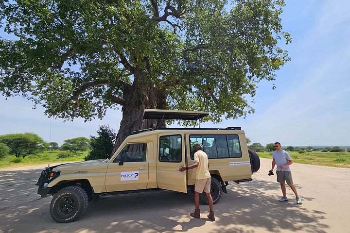 2-Day Private Luxury Safari: Tarangire & Ngorongoro Tanzania