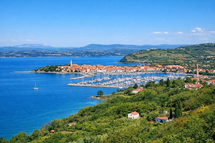 Hop & Taste Slovenian Riviera Hop-On Hop-Off & Local Bites