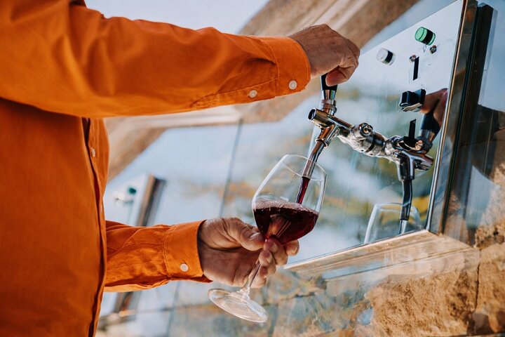 Hop & Taste Slovenian Riviera Hop-On Hop-Off & Local Bites