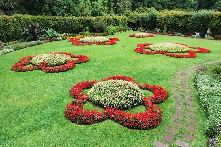 Furnas Volcano & Tea Plantation With Traditional Lunch, East Tour
