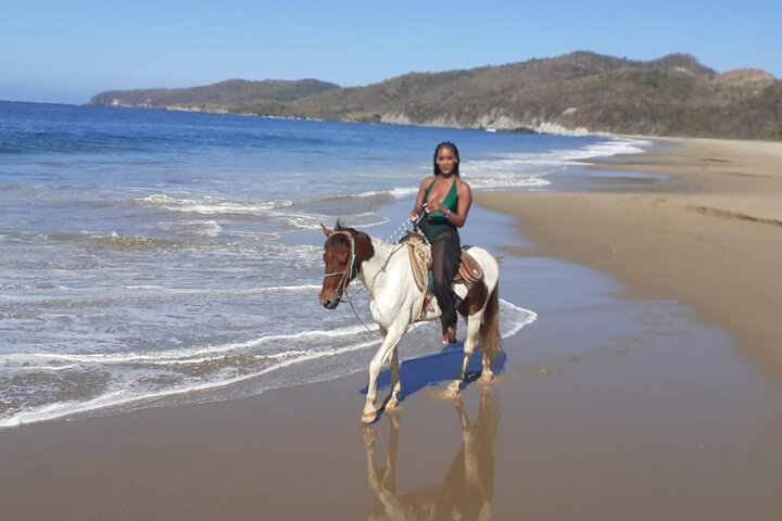 Horseback Riding in Ixtapa with Hotel Pickup