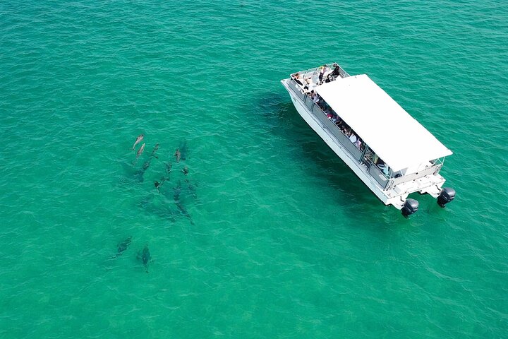 Panama City Beach Dolphin Cruise