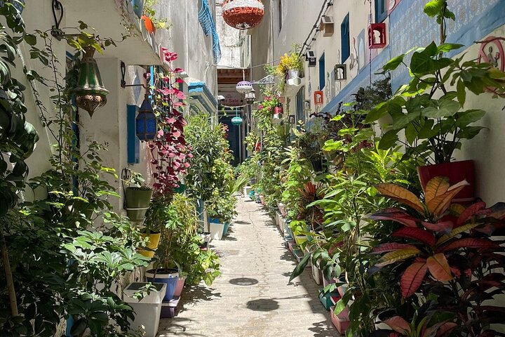 Private Luxury 4-Hour Tangier tour