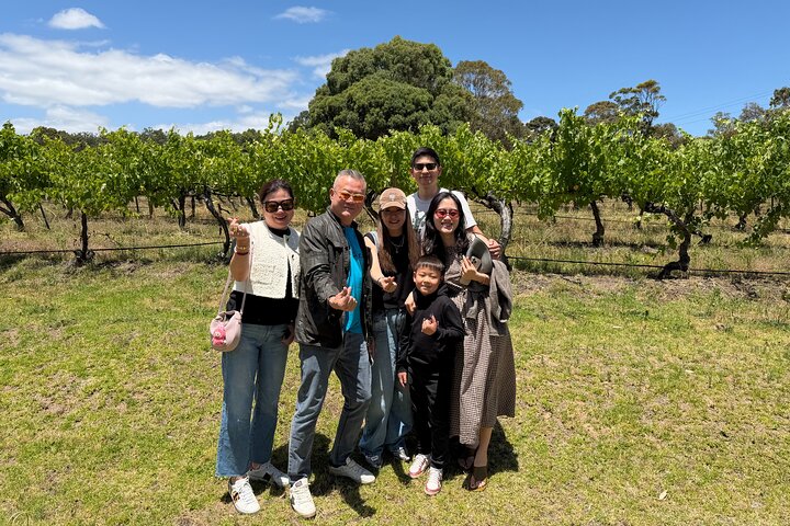 Adelaide Highlights, Hahndorf & McLaren Vale Wine Tasting and Sightseeing Tour