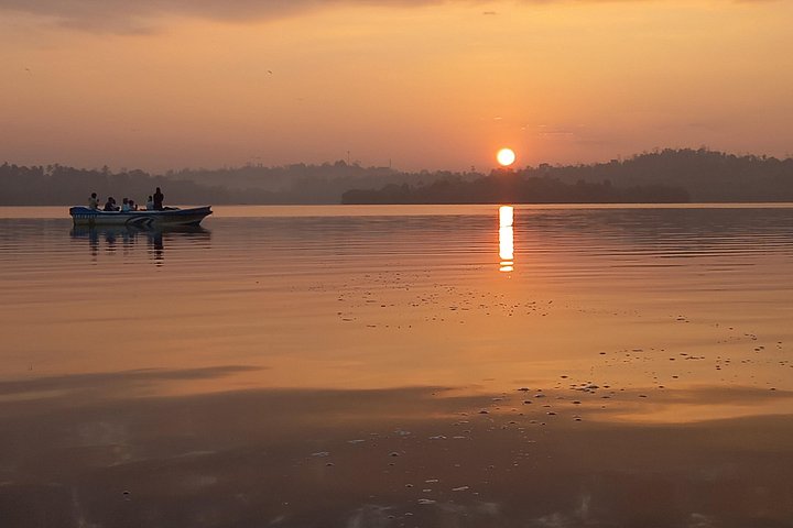 Madu River Boat Safari Balapitiya