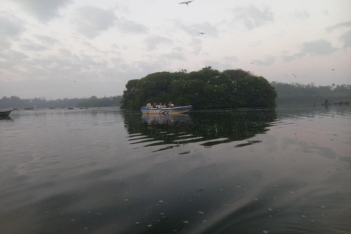 Madu River Boat Safari Balapitiya