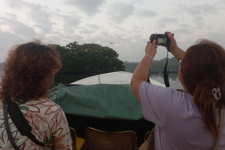 Madu River Boat Safari Balapitiya