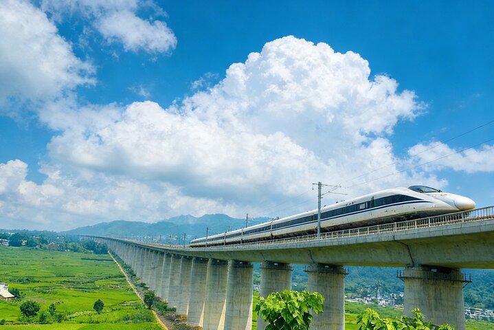 2-Day Private Tour: Shaolin Temple & Longmen Grottoes from Jinan by Bullet Train