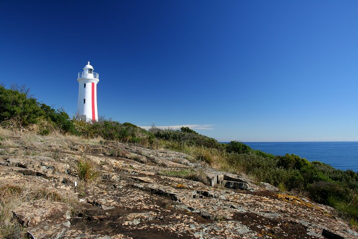 Tasmanian Wonders Day Trip: Full Day Private Shore Tour