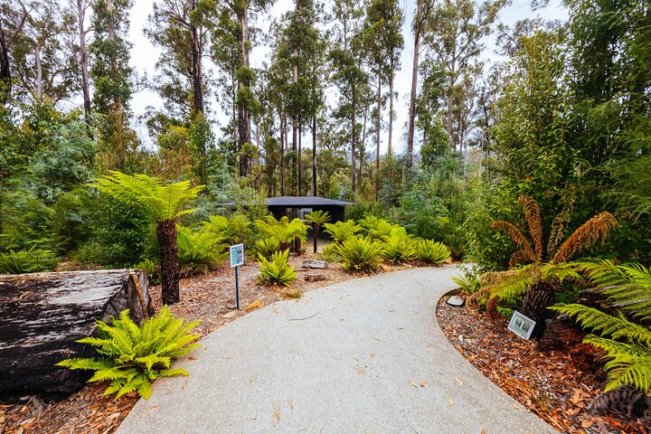 Tasmanian Wonders Day Trip: Full Day Private Shore Tour