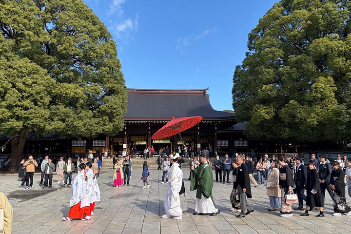 Tokyo Private Half-Day Highlights Tour by Car with Guide