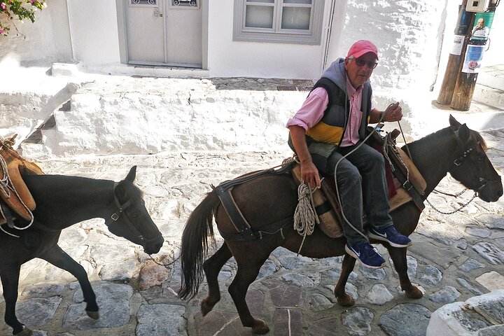 Hydra Island Full Day Trip From Nafplio with Swimming