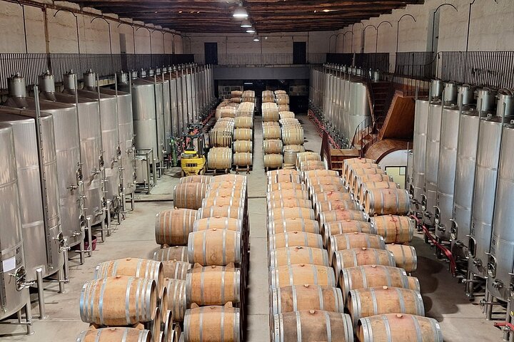 PRIVATE DOURO WINE EXPERIENCE An Immersive Full-Day Journey