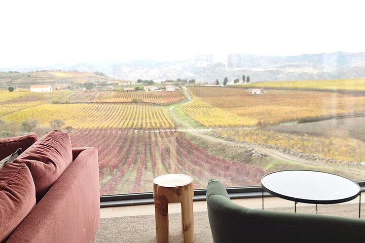 PRIVATE DOURO WINE EXPERIENCE An Immersive Full-Day Journey