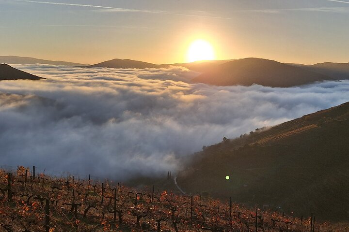 PRIVATE DOURO WINE EXPERIENCE An Immersive Full-Day Journey