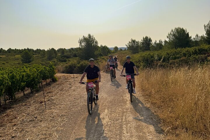 Electric Mountain Bike Tour in the Parc des Calanques