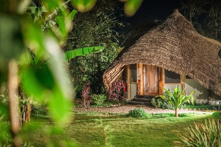 2-Day Private Luxury Safari: Tarangire & Ngorongoro Tanzania