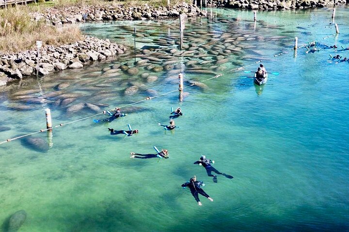 Crystal River Manatee Viewing & Sightseeing Boat Tour