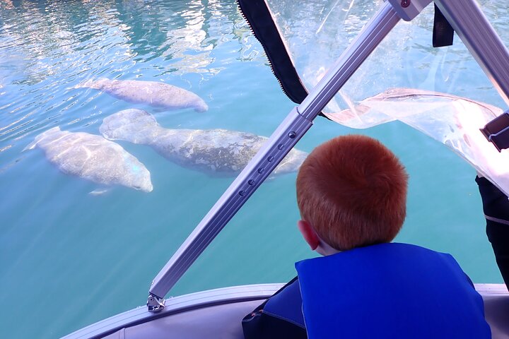 Crystal River Manatee Viewing & Sightseeing Boat Tour