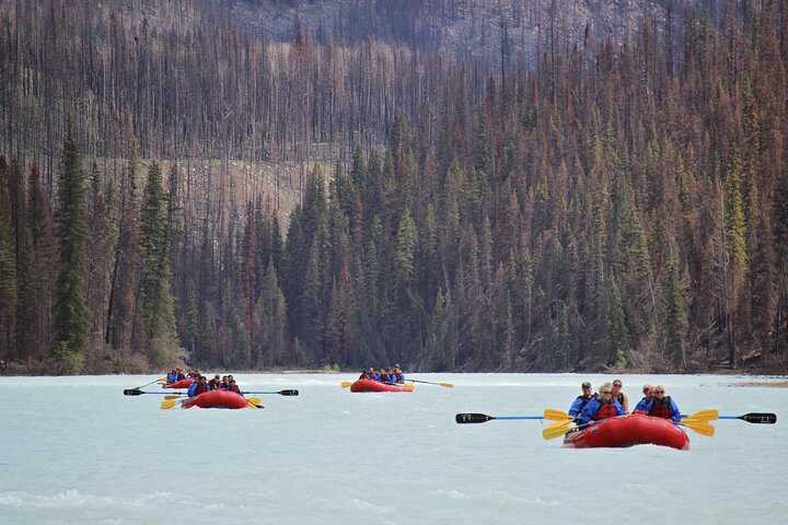 Athabasca Canyon Run Family Rafting: Class II Plus Rapids